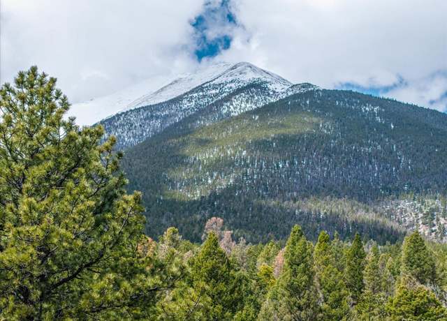 Property at 24900 County Road 339, Buena Vista, CO 81211