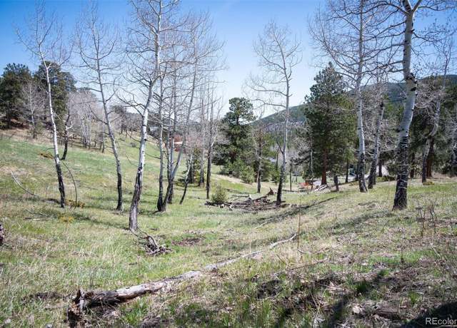 Property at Tbd Pine Valley Rd, Evergreen, CO 80439