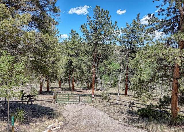 Property at 2338 Fitzsimmons Rd, Hartsel, CO 80449