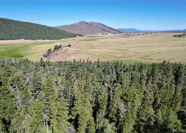 Property at 2452 Petito Dr, Fort Garland, CO 81133
