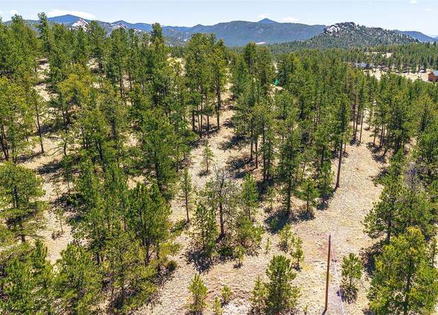Property at 56 Dallas Park Cir, Florissant, CO 80816