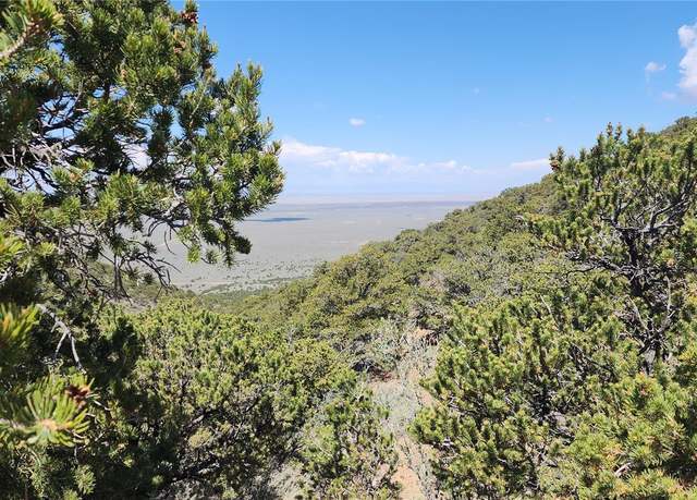 Property at 5039 Mamouche Rd, Fort Garland, CO 81133