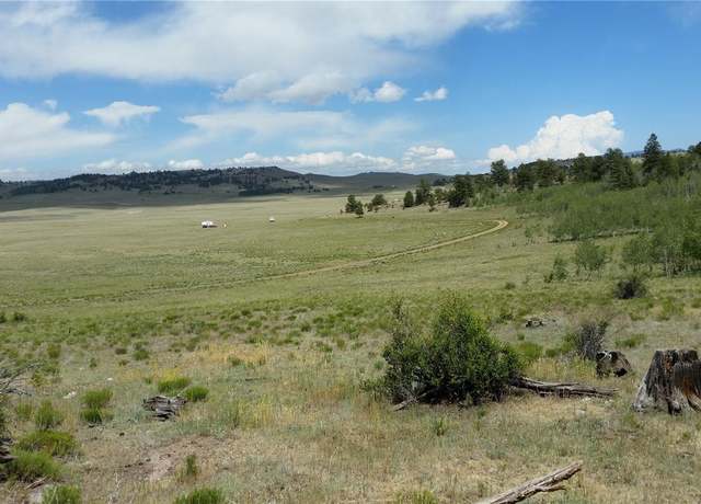 Property at 1681 Athapascan Rd, Hartsel, CO 80449