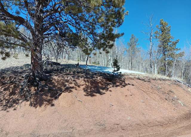 Property at 149 No Name Ln, Cripple Creek, CO 80813