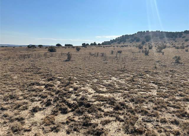 Property at TBD 40AC Las Animas Rnch, Dehli, CO 81059