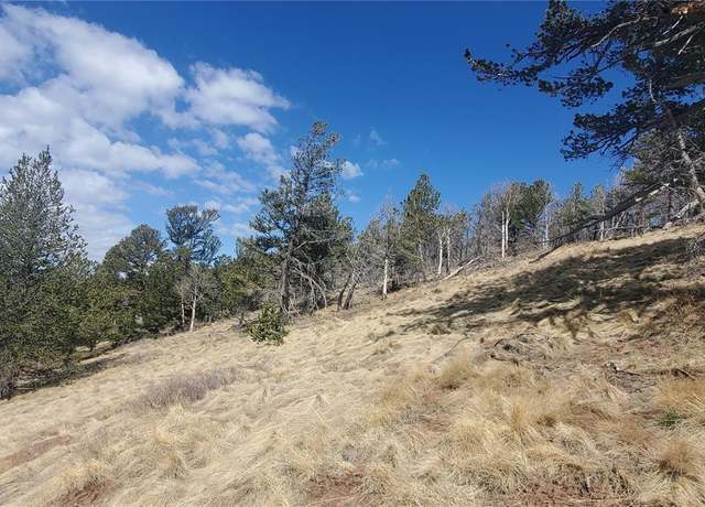 Property at Lot 2740 Newman Pl, Fort Garland, CO 81133