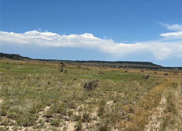 Property at Lot 4 Outback Rnch, Model, CO 81059