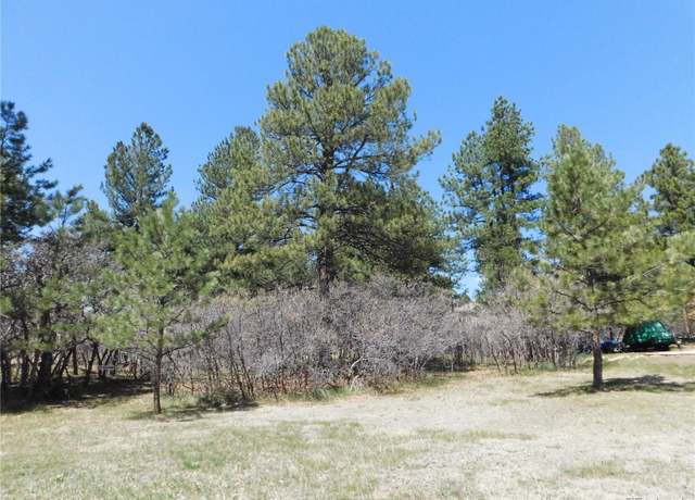 Property at 7347 Fremont Pl, Larkspur, CO 80118