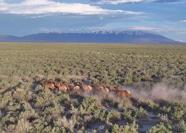 Property at 9 N 2 Lane Lot 9, Mosca, CO 81146