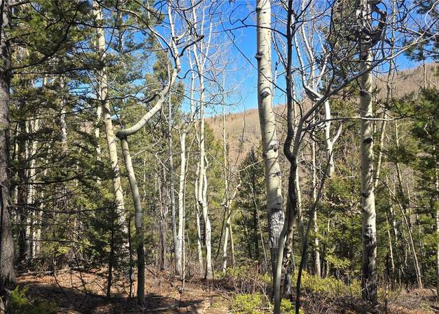 Property at Lot 6708 Debbie Rd, Fort Garland, CO 81133