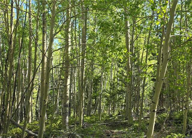 Property at Lot 6708 Debbie Rd, Fort Garland, CO 81133