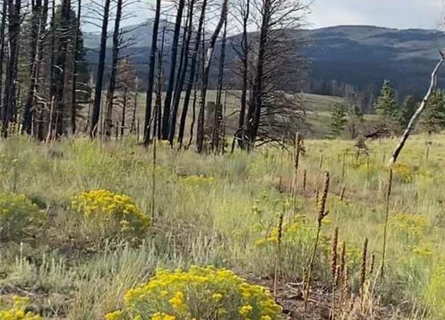 Property at 768 Shepard Pl, Fort Garland, CO 81133