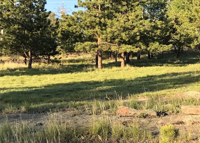Property at 314 Arrowhead Dr, Florissant, CO 80816
