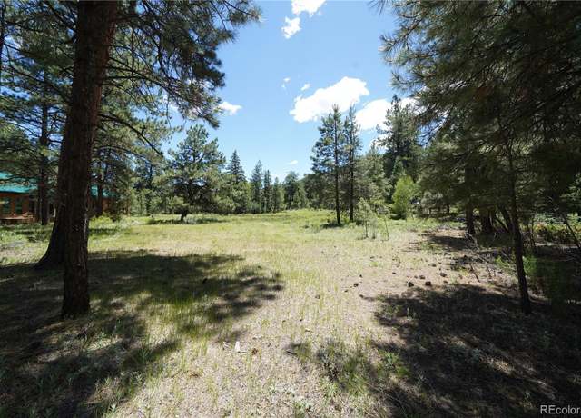 Property at 136 Elk Meadow Run, Antonito, CO 81120