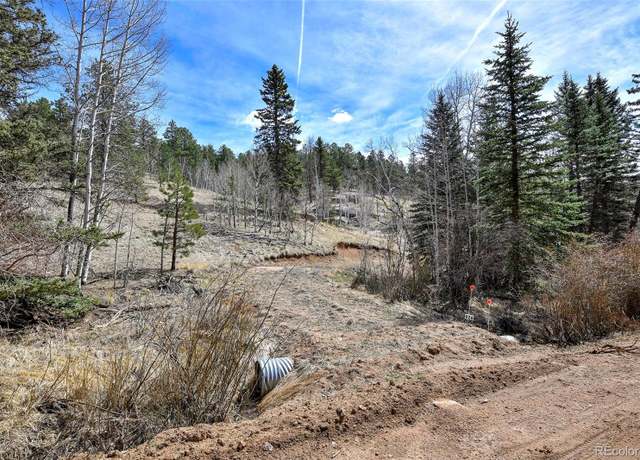 Property at 926 W Bison Creek Trl, Divide, CO 80814