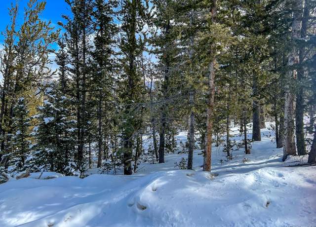 Property at R0029767, Cripple Creek, CO 80813