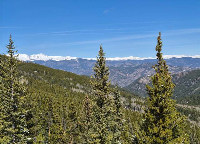 Property at 312 Sawmill Ln, Idaho Springs, CO 80452