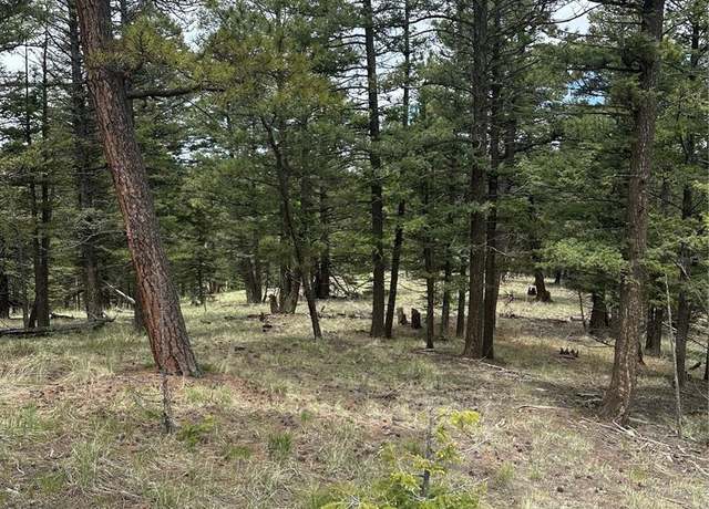 Property at 1120/1086 N Mountain Estates Rd, Florissant, CO 80816