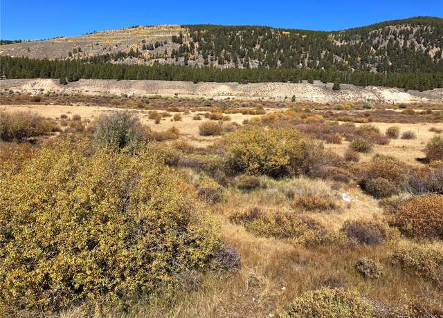 Property at Leadville Land, Leadville, CO 00000