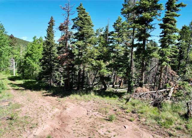 Property at 2938 Kemper Loop, Fort Garland, CO 81133