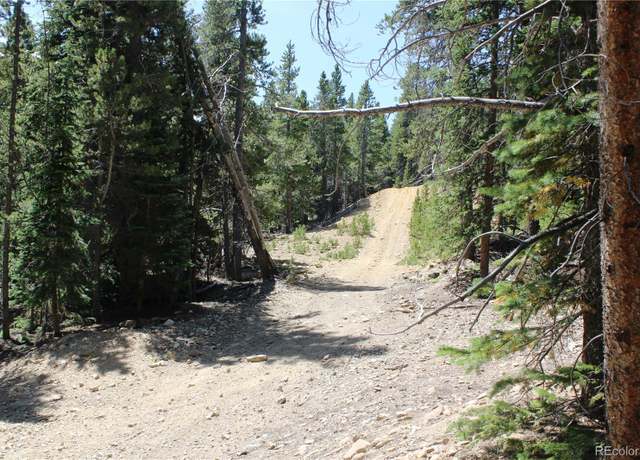 Property at 630 FS 417.1, Black Hawk, CO 80422