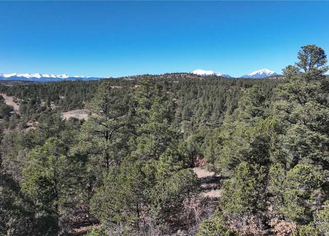 Property at El Toro, Trinidad, CO 81024