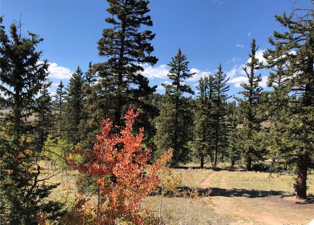 Property at 246 Chippewa Rd, Jefferson, CO 80456