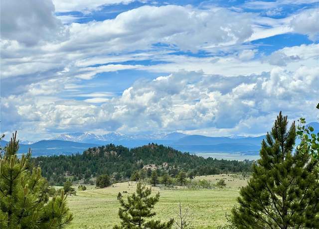 Property at 000 Dog Chief Trl, Hartsel, CO 80449