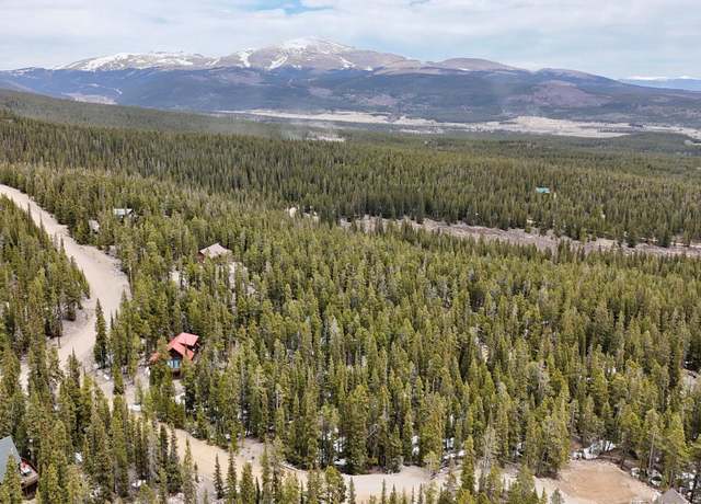Property at 48 Snowshoe Pl, Fairplay, CO 80440