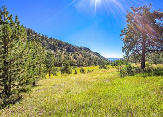 Property at 14334 Reserve Rd, Pine, CO 80470