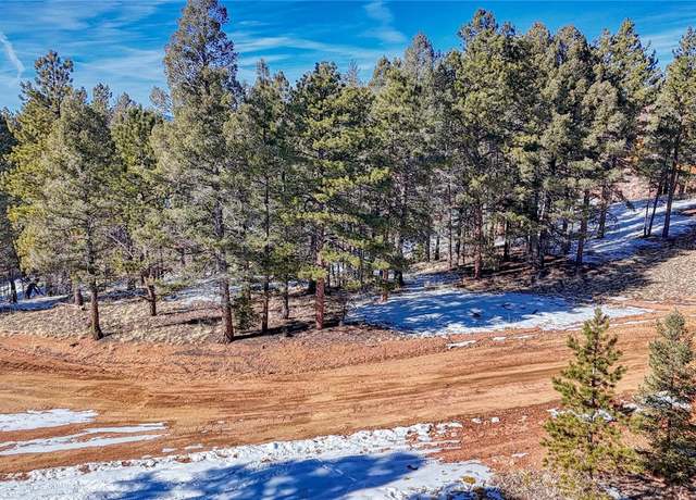 Property at 79 Huntsman Cir, Florissant, CO 80816