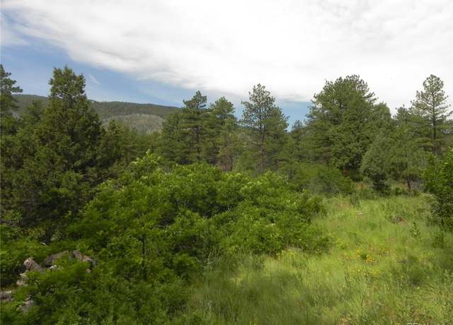 Property at 8160 Bannock Dr, Larkspur, CO 80118
