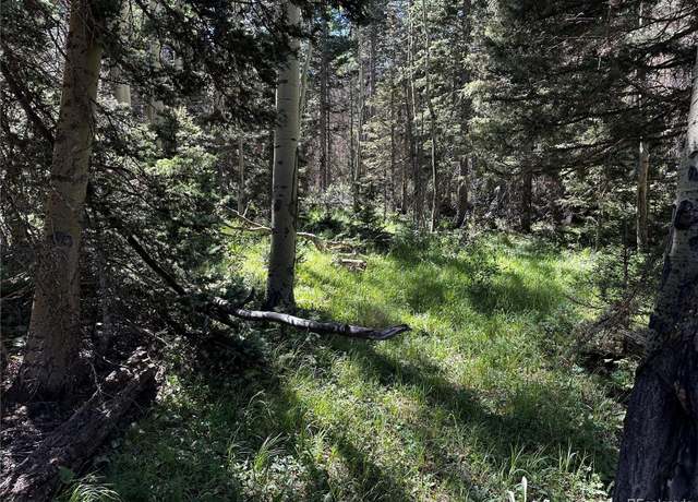 Property at 3257 Purnell Ln, Fort Garland, CO 81133
