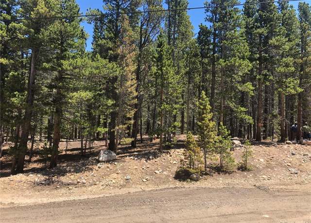 Property at Silver Creek Rd, Idaho Springs, CO 80452