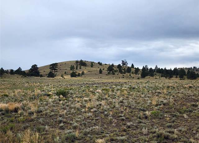 Property at Thrush Ln, Hartsel, CO 80449