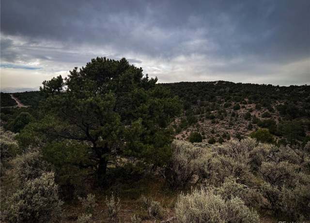 Property at 00 Rodriguez Rd, Fort Garland, CO 81133