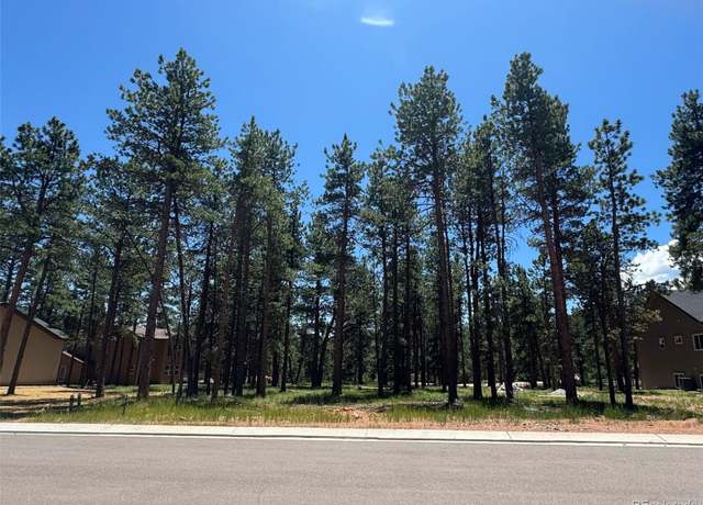 Property at 1287 Firestone Dr, Woodland Park, CO 80863