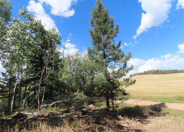 Property at 471 Horseshoe Trl, Florissant, CO 80816