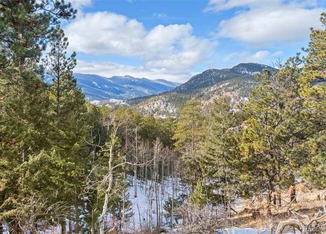 Property at 135 Linda Trl, Bailey, CO 80421