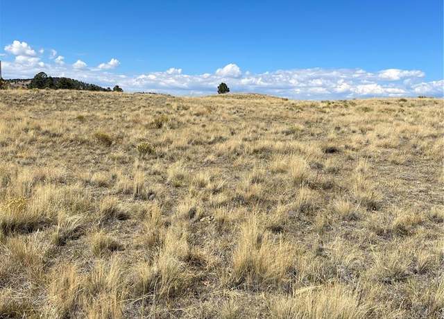 Property at 309 Castle Mountain Dr, Florissant, CO 80816