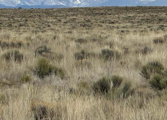 Property at Lot 8 Joe Rd, San Luis, CO 81152