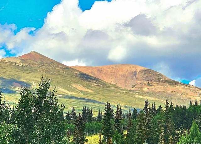 Property at 295 Silver Plume Rd, Fairplay, CO 80440