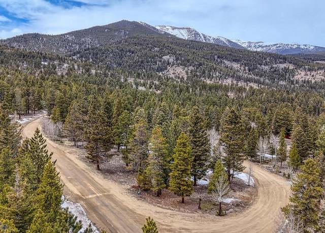 Property at 30406 National Forest Dr, Buena Vista, CO 81211