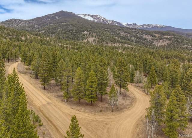 Property at 30406 National Forest Dr, Buena Vista, CO 81211