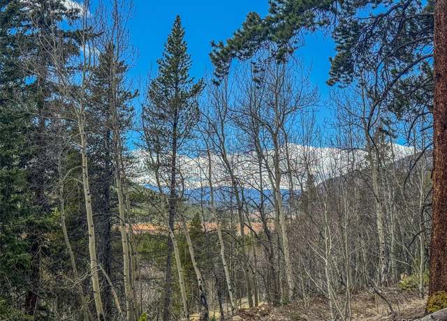 Property at Buckeye Gulch Rd, Leadville, CO 80461