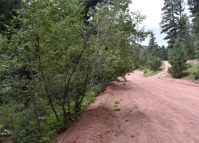 Property at 13371 Spruce Creek Cir, Larkspur, CO 80118