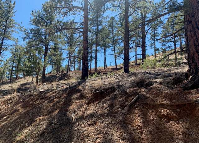 Property at 15421 Westcreek Rd, Woodland Park, CO 80863