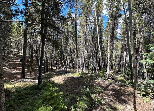 Property at 00 S Spring Gulch, Idaho Springs, CO 80452