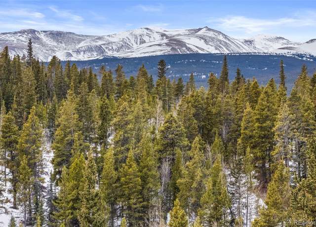 Property at 0 Beaver Creek Rd, Alma, CO 80420