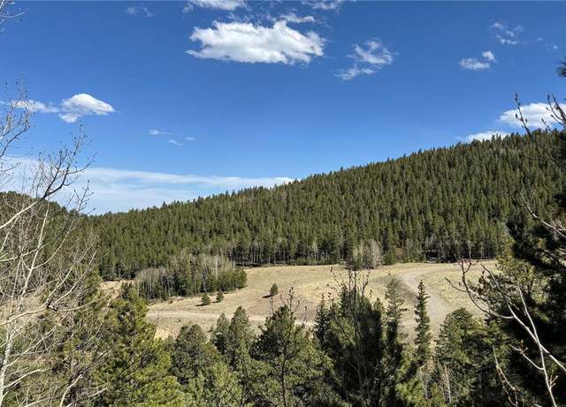 Property at 005 Pewabic Mine Rd, Central City, CO 80427